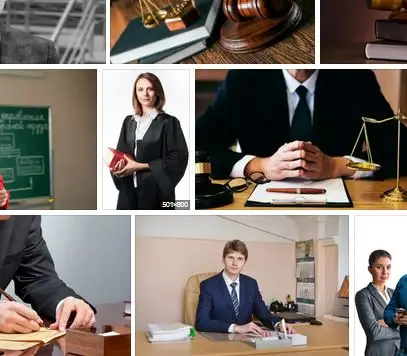 profesjonalna pomoc prawnicza